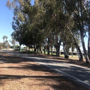 Meet your Posher, Ali